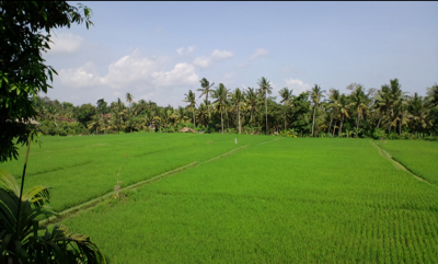 CA3C0671_blog.jpg