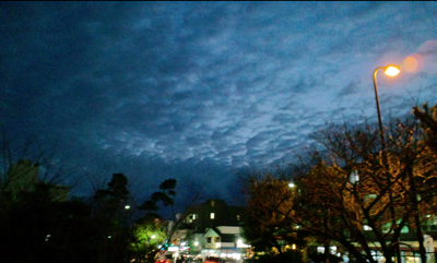 CA3C0684_blog.jpg