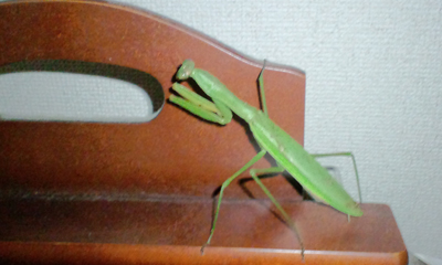 CA3C0687_blog_crop.jpg