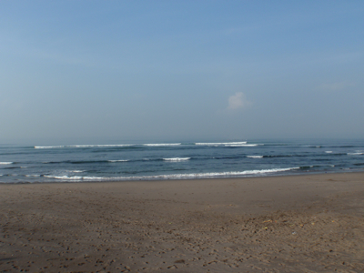 PB050056_blog.jpg