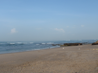 PB050057_blog.jpg