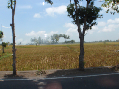 PB060081_blog.jpg