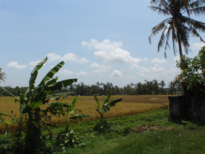 PB060098_blog.jpg
